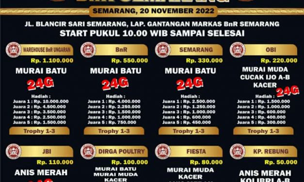 Brosur Murai Batu Fiesta Feat BnR Semarang (15/11/2022)