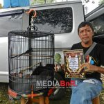 Trotolan Jaya Bird Farm Dapat Bendera Koncer di Lomba Bekasi Bird Champions