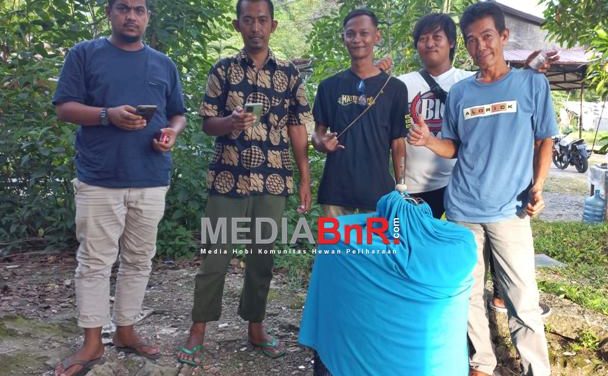 Ibrahim Baim S54 SF Cirebon – Boyong Murai Batu Jet Lee