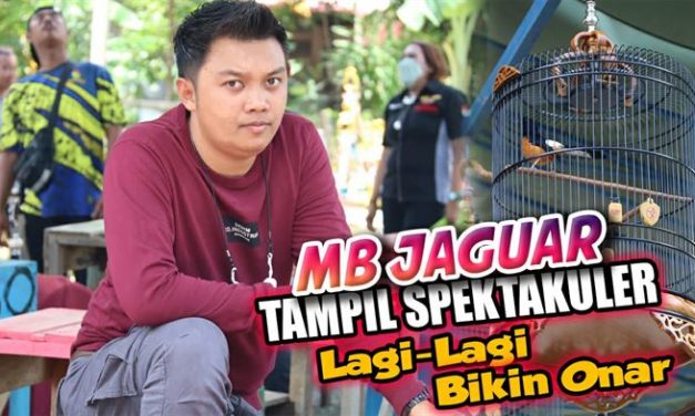 MB Jaguar Tampil Spektakuler, Lagi-Lagi Bikin Onar