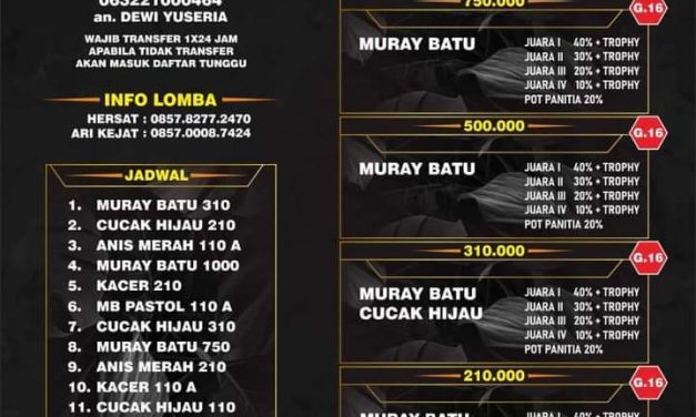 Brosur Derby Kicau Real Fight Yogyakarta (18/06/2022)