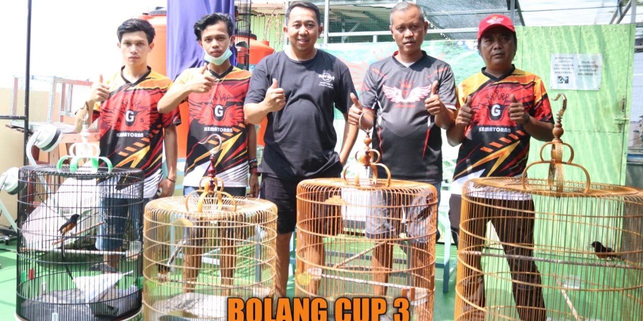 BOLANG CUP 3
