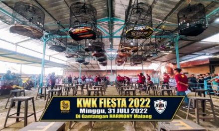 Daftar Juara KWK FIESTA 2022, Minggu – 31 July 2022