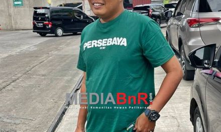 Rekor Penampilan Mengesankan, Bintang Pandawa & ASL Kembali Borong Juara di Intercone Stadium