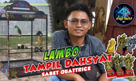 Lambo Tampil Dahsyat Sabet Quattrick