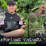 MURAI BATU MANDAU SAKTI TAHLUKAN LAWAN TERBERATNYA DI PIALA KEPAHIANG VAGANZA.